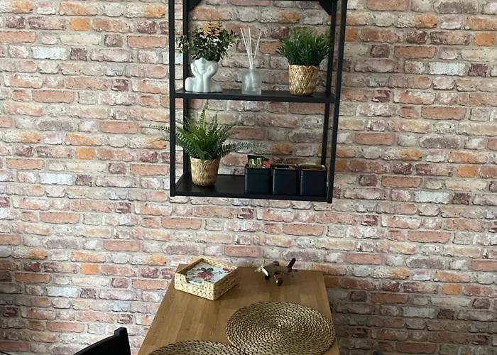 Nad Stara Odra דירה *