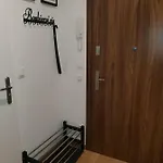 Nad Starą Odrą *