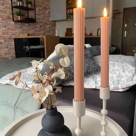 Nad Stara Odra Apartment