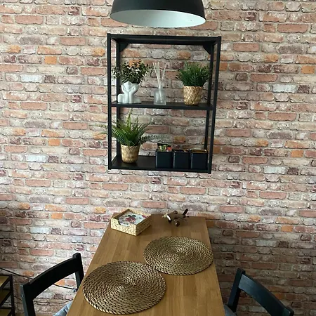 Nad Stara Odra Apartment *