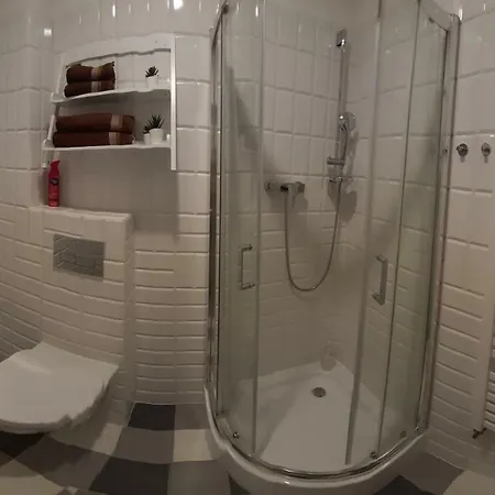 Nad Stara Odra Apartment *
